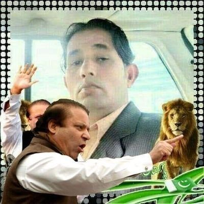 جوائنٹ سیکرٹری پاکستان مسلم لیگ ن یوتھ ونگ کراچی ڈویژن