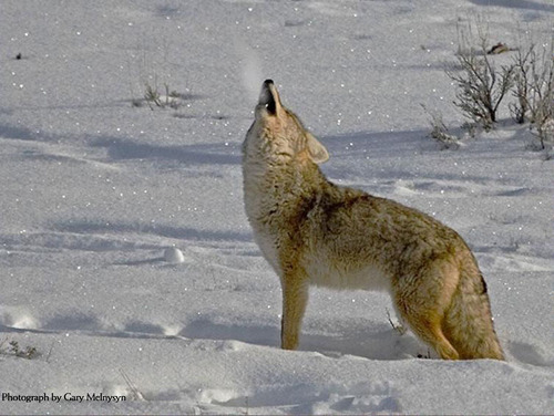 ISLAM_2011's profile picture. 