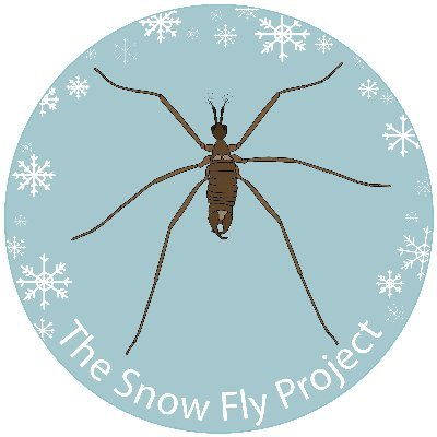 Snow Fly Project Profile
