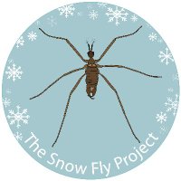 Snow Fly Project (@snowflyproject) 's Twitter Profile