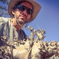 Brian Wood (@briwood1) 's Twitter Profile