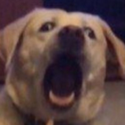 kianimous's profile picture. Watford fan :(  | Driver & Events Team for @LFS_VTC |