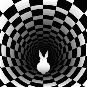 How Deep Does The Rabbit Hole Go? Follow Me To Find Out!
