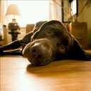 Brian Wedel - @Bbop0192 - Twitter