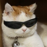mariø (@lmfaomsrio) 's Twitter Profile
