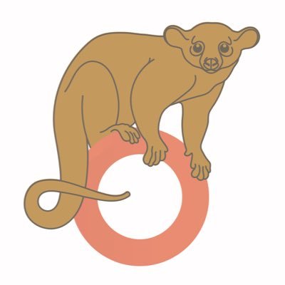 I am the Mother of Kinkajous 🐻👑 Kinkatopia is the only kinkajou organization in the world 🌎 501c3 🌴Education ✨ Research ✨Awareness ✨