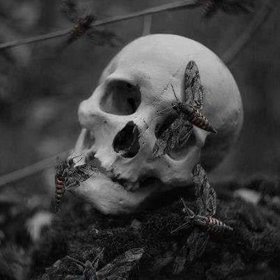 morrito_mx's profile picture. poeta y loco, vividor de sueños y aprendiz de la vida.