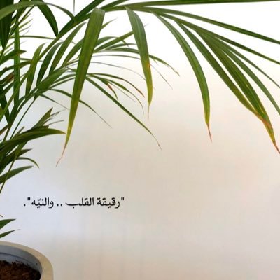 إن إليك مقصدي ، فلطريقك دُلني وثبتني يارب 🌿✨ ..