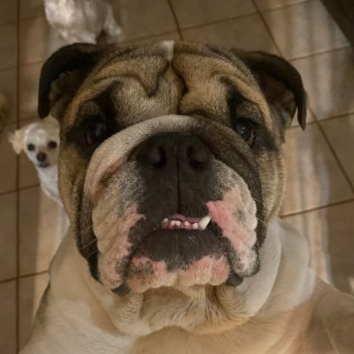 vicchavez29's profile picture. 