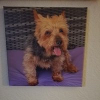 john byron armitage (@parmyarmy) 's Twitter Profile