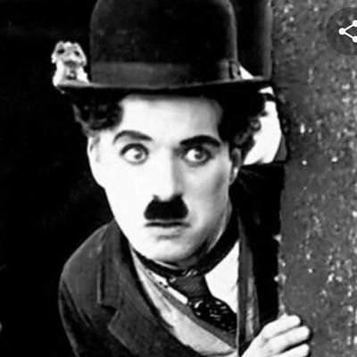 alpedhu37343368's profile picture. 