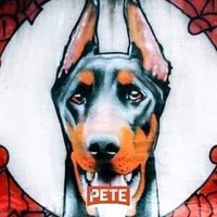 Dobermans 4 Pete πππ (@dobermans4pete) 's Twitter Profile