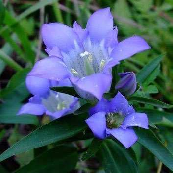 hananonaha31's profile picture. 呟きは適当です。