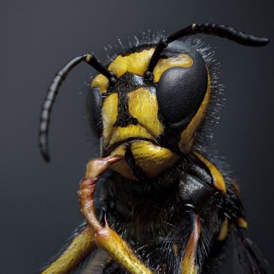 DKMcCreight's profile picture. Just some dude.