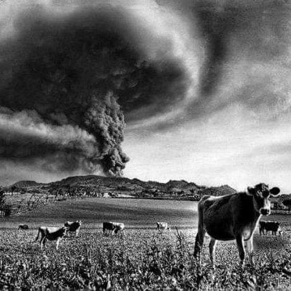 shaar_karen's profile picture. 