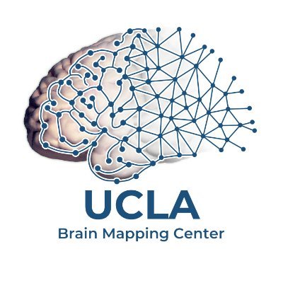 UCLA Brain Mapping