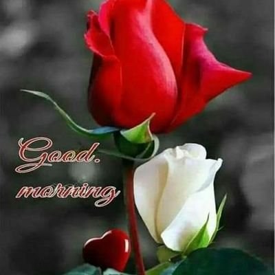 Insan49430109's profile picture. 