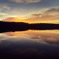 Lake Therapy Photos(@laketherapypics) 's Twitter Profile Photo