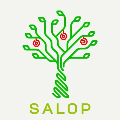 SalopCorp Profile Picture