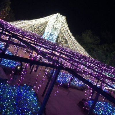 バイナリー有料配信しています。 興味があれば教えてください😌 主にプレゼント企画を開催するアカウントです👌 応募方法は無料登録するだけで大丈夫です👍 DMにて説明いたします😉 18歳以上の方は副業もご案内できます👌 よろしくお願いいたします☺️