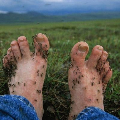 s_cavalry's profile picture. 