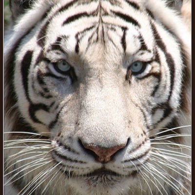 pablo32462881's profile picture. 