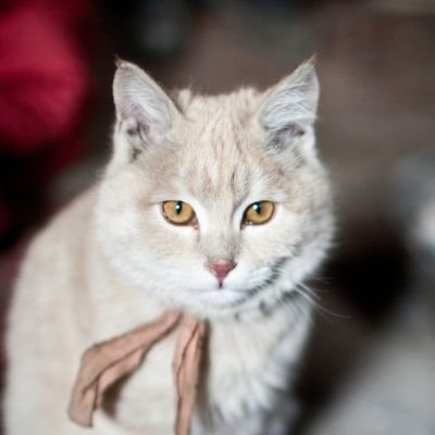 wsqwyf's profile picture. 