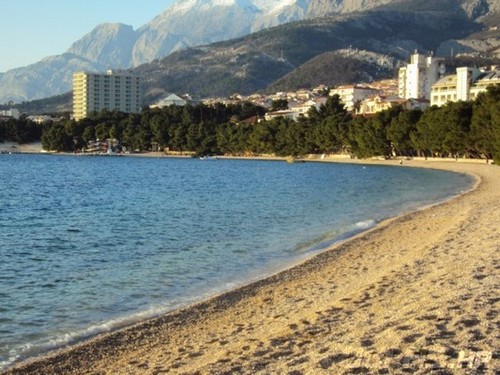 Makarskaestate's profile picture. We are the Croatian real estate agency with a long and successful tradition in selling in buying properties.