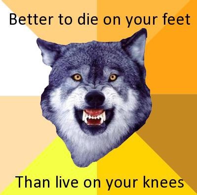 matu26's profile picture. Encantador de Perros.