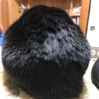 ぐりーんそふと (@coconuts_dream) 's Twitter Profile