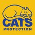 Cats Protection Mid Dorset (@cpblandford) Twitter profile photo Cats Protection Mid Dorset (@cpblandford) Twitter profile photo
