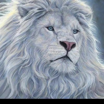 # We must learn dat,to expect God to do every thing while we wait and do nothing is no faith,But superstitious