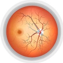 “Providing Personalized Retina Care”