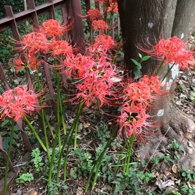 lFZZfLpnl0LzddD's profile picture. 私は、1958年生まれの61歳男性です。