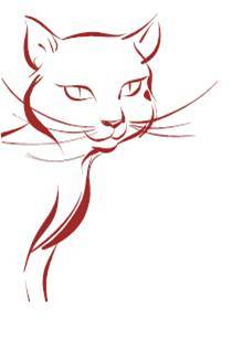 kqcook's profile picture. I have 15 kitties and I design and invent cat products.