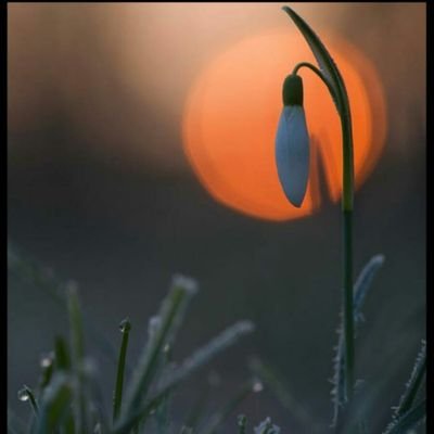 MuzafferBzdgn's profile picture. Bir sabah gelecek kardan aydınlık