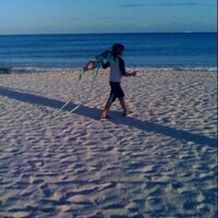Sofia Aragon (@krakatoa23) 's Twitter Profile