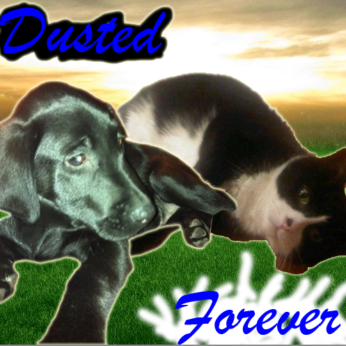 DustedForever's profile picture. 