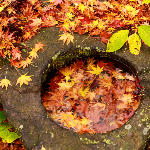 ka4shi1's profile picture. セール品が大好きです
PC関連､食品､山道具など､お得な商品をどんどん紹介していこうと思います