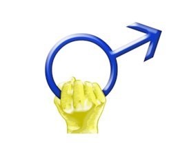 JssP74732243's profile picture. Intereses en general