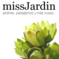 Jardines&Paisajismo. Me apasionan los jardines, trabajo diseñándolos y disfruto escribiendo un blog lleno de flores y proyectos.