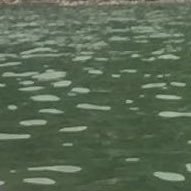 BeboKawal's profile picture. 