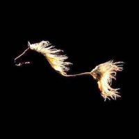Abdullah (@abull_10) Twitter profile photo