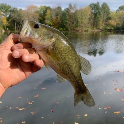 Avid pond fisherman, Christian, Conservative, American