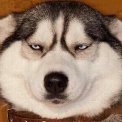 kapooklook119's profile picture. 