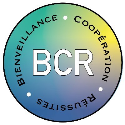 Groupe #BCR  de l'@AcCreteil : promouvoir santé, bien-être et développer les #CompétencesPsychoSociales à l’école Fil animé par @benedicte_hare et @BcrCreteil