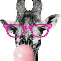 Bubblescom.fr (@bubblescom) 's Twitter Profile
