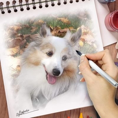 FranTalbot1's profile picture. 