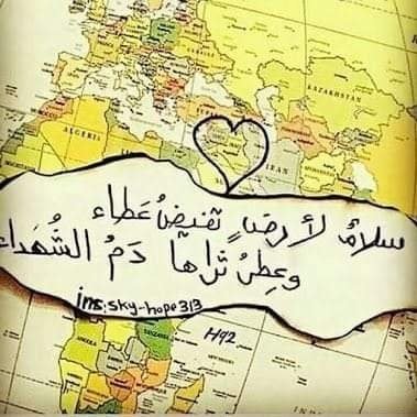 ShHd33301244's profile picture. ‏‏لست الافضل لكن ارفض مقارنة نفسي باأحد 💛!