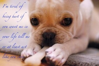 RachelLuvsChu's profile picture. 